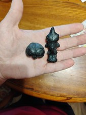 Archosaur Cranial Endocast ( Brain Cast) Comparison Set- American Alligator,... picture