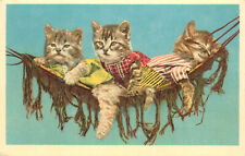 Postcard Dressed 3 Tabby Kittens In a Hammock Mainzer 9424 picture