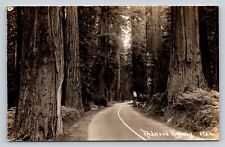 RPPC  Redwood Highway California Real Photo P703 picture