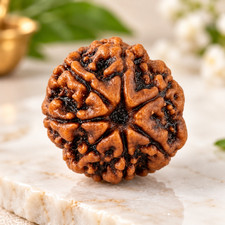 Natural Rudraksha Seed Beads Spiritual Meditation Yoga Prayer Decor Collectibles picture