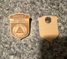Wildland Fire Management National Park Service - Junior Ranger Badge picture