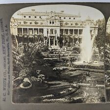 1903 Frankfort, Germany Palm Garden Real Photo Stereoview Fountain HC White V1 picture