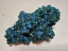 Dioptase on Shattuckite - Amazing Green To Blue Contrast - Reneville Mine, Congo picture