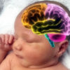 baby_brain