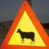 cow_sign